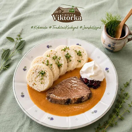 Krkonošská Viktorka Penzion 3*