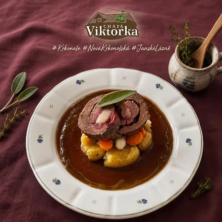 Krkonošská Viktorka 3* Janské Lázně