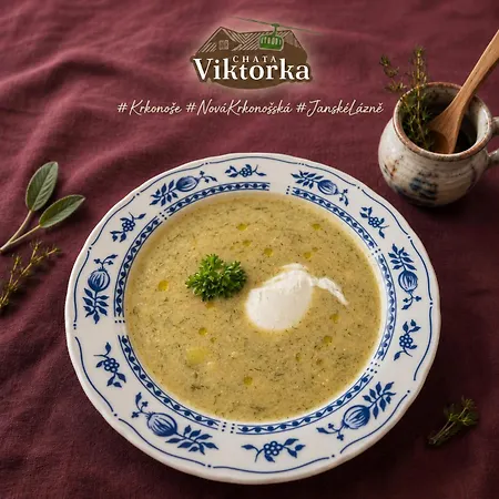 Krkonošská Viktorka Penzion 3*